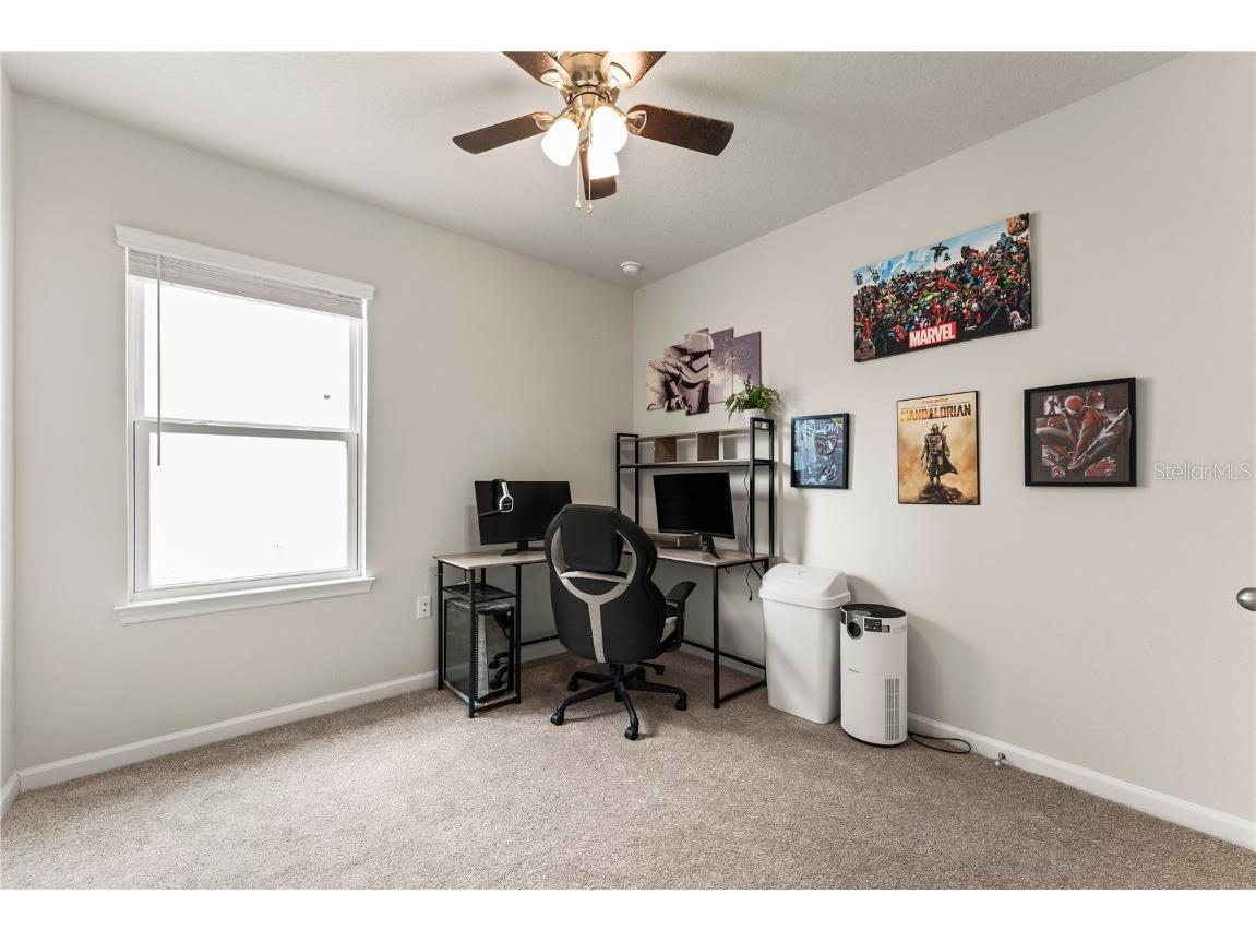 2070 Havasu Falls Drive Deland FL 32724 O6357527 image25