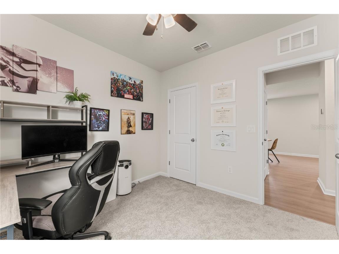 2070 Havasu Falls Drive Deland FL 32724 O6357527 image26