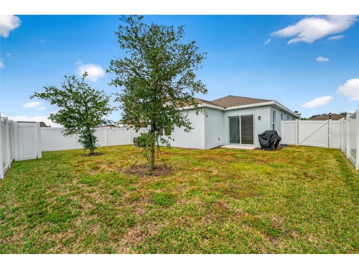 2070 Havasu Falls Drive Deland FL 32724 O6357527 image34