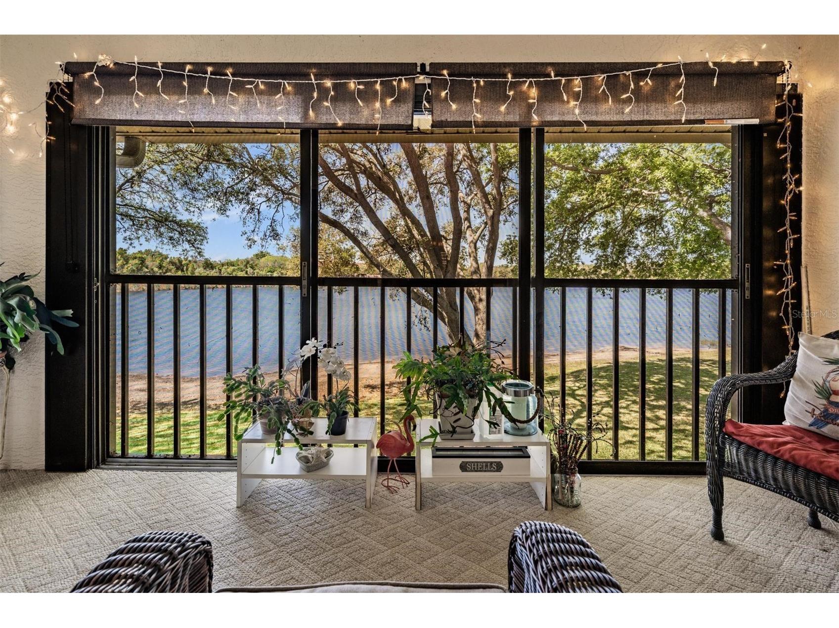 2070 Lakeview Drive #204 Clearwater FL 33763 TB8488680 image1