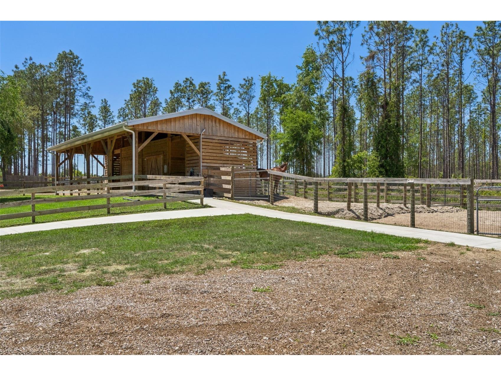 20701 County Road 44a Eustis FL 32736 O6401282 image19