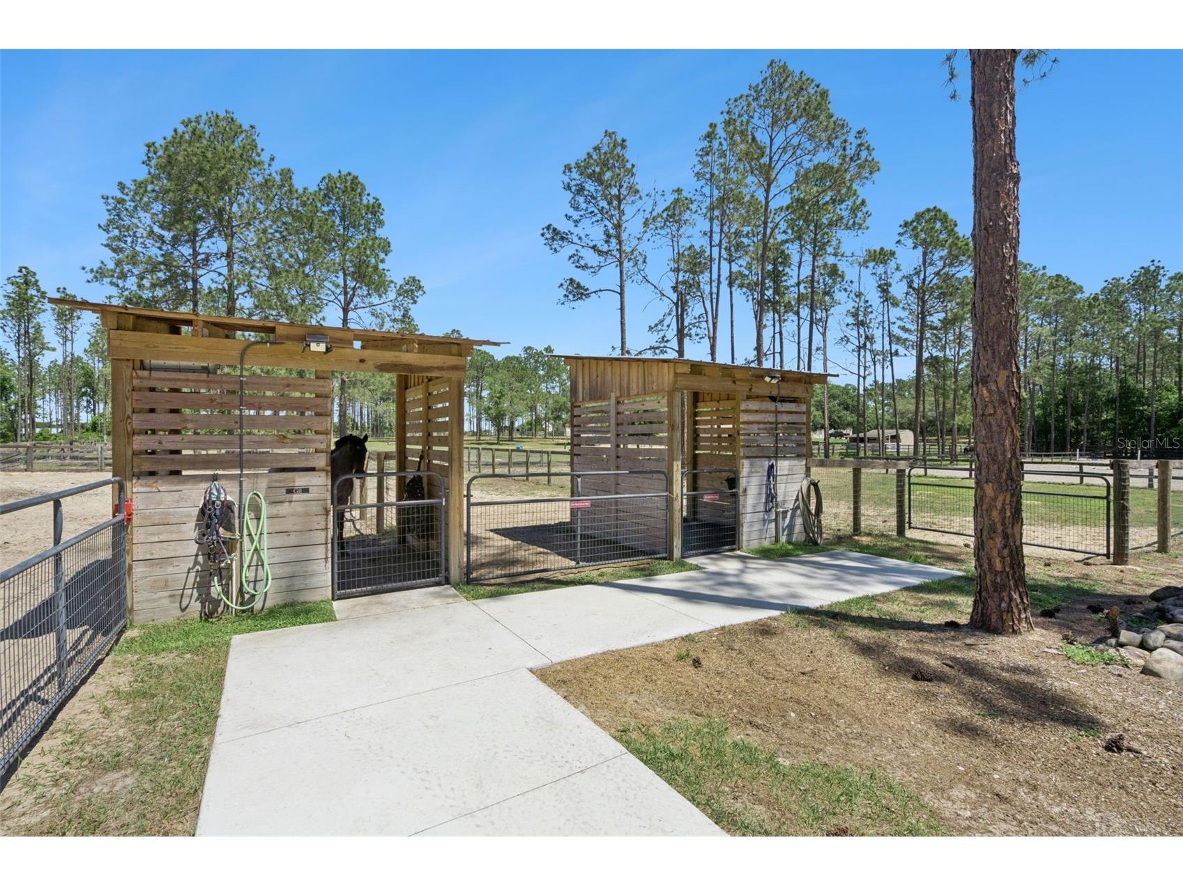 20701 County Road 44a Eustis FL 32736 O6401282 image26