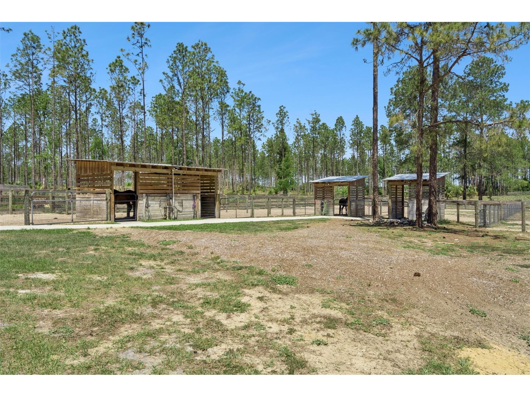 20701 County Road 44a Eustis FL 32736 O6401282 image27