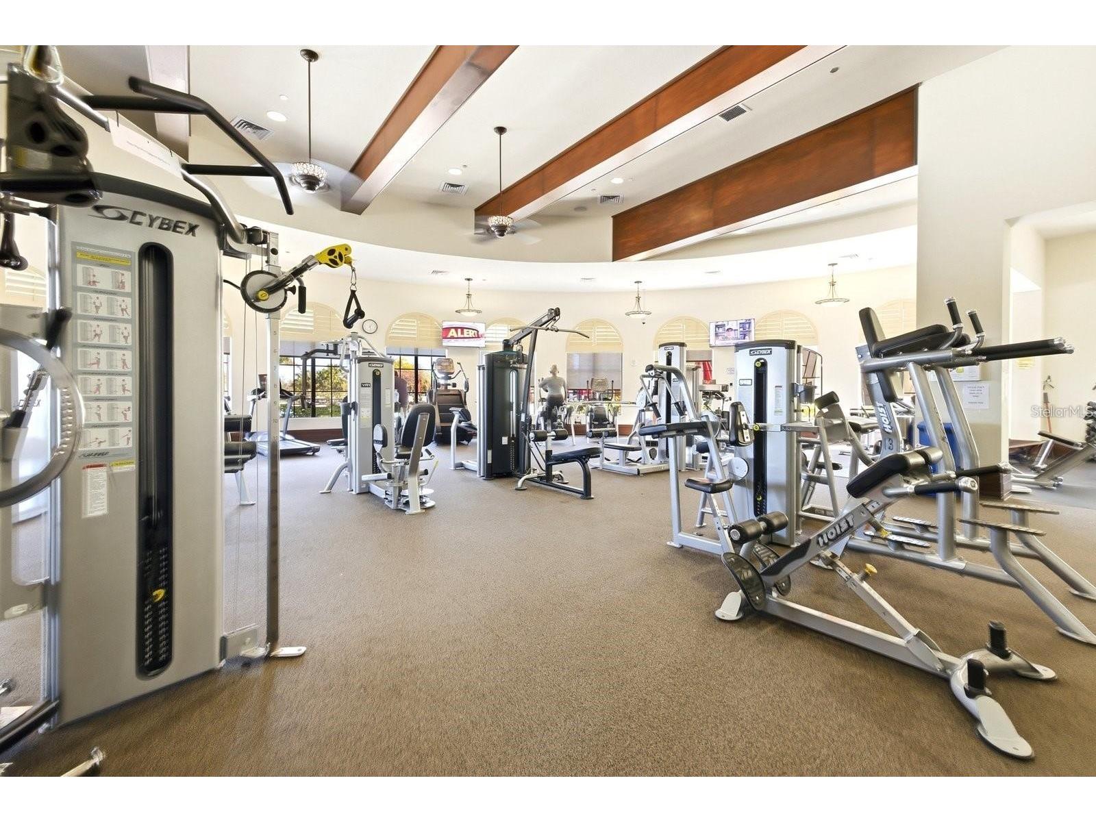 20706 Benissimo Drive Venice FL 34293 N6144535 image54