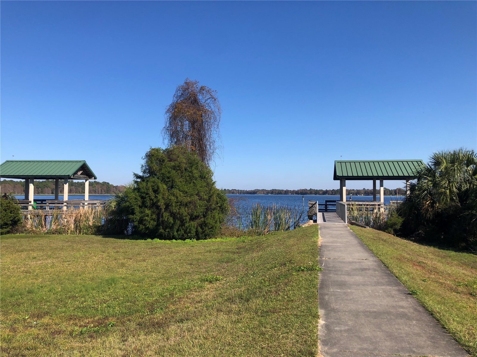 20707 Walnut Street Dunnellon FL 34431 OM725024 image50