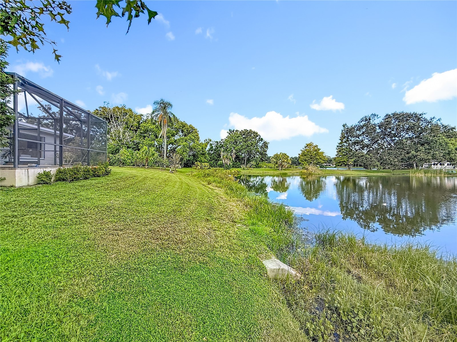 2071 Butternut Circle E Clearwater FL 33763 TB8486461 image64