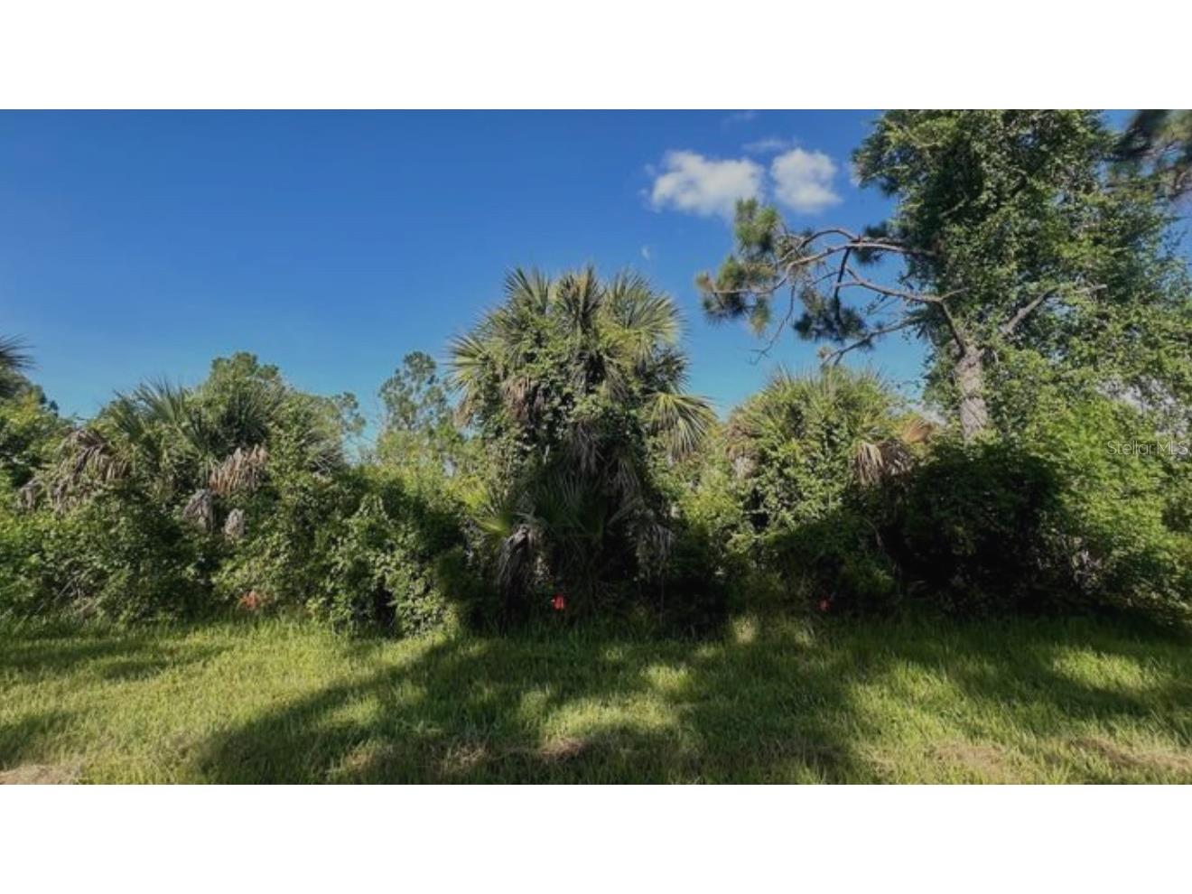 2071 Lingayen Street Port Charlotte FL 33953 O6322164 image4