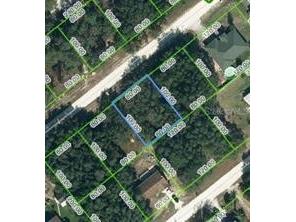 2071 W Bonita Road Avon Park FL 33825 T3433614 image1