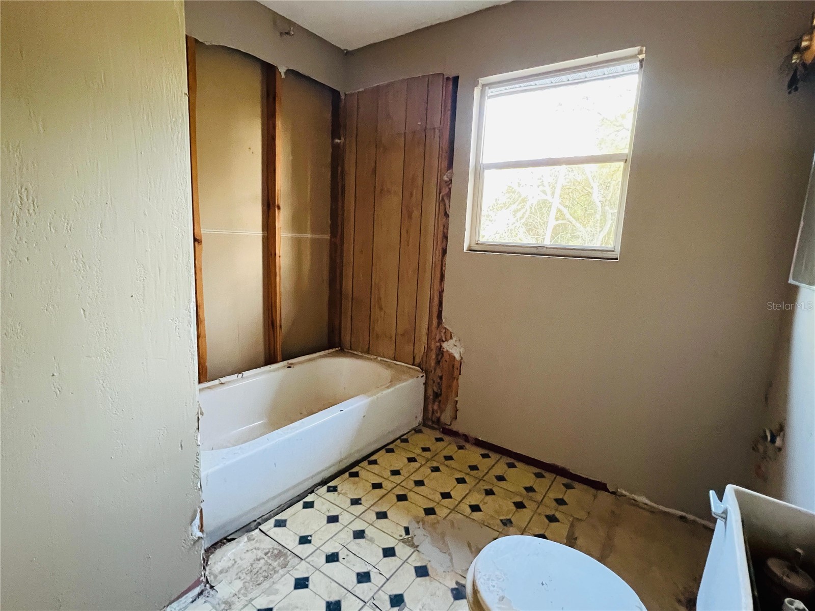20715 SE 141st Place Umatilla FL 32784 O6427482 image37