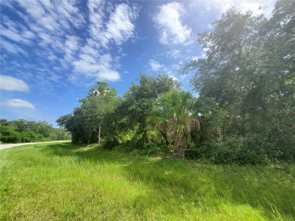 2072 & 2060 Cornelius Boulevard Port Charlotte FL 33953 C7463298 image1