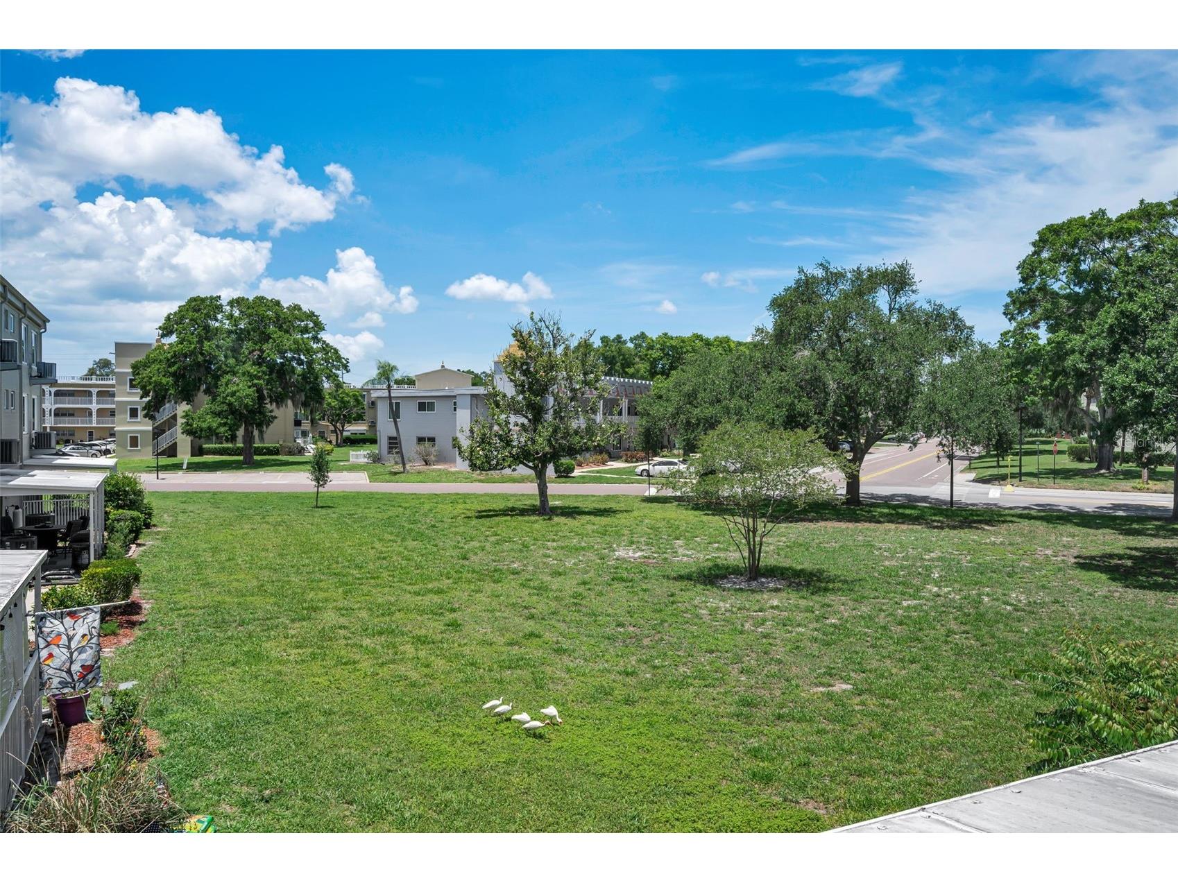 2072 Australia Way W #32 Clearwater FL 33763 TB8514076 image21