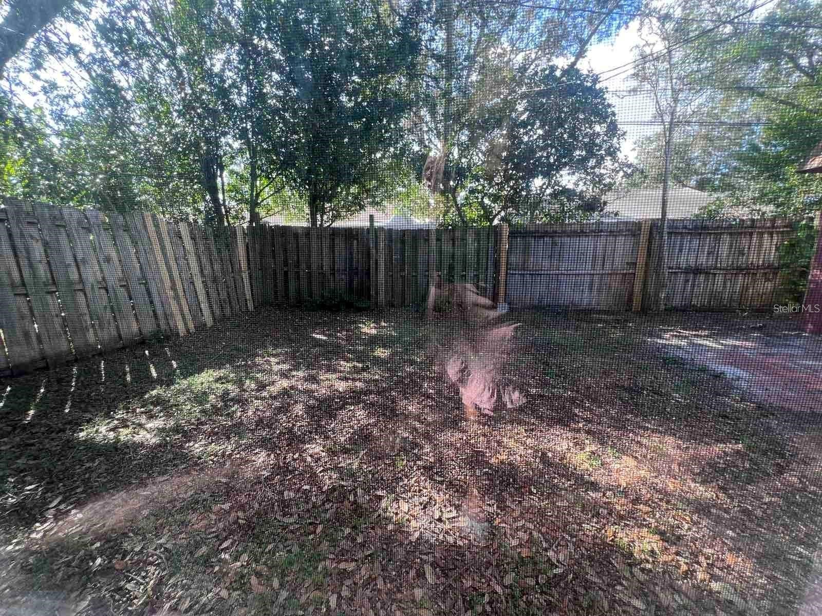 2072 Los Lomas Drive Clearwater FL 33763 TB8492621 image21