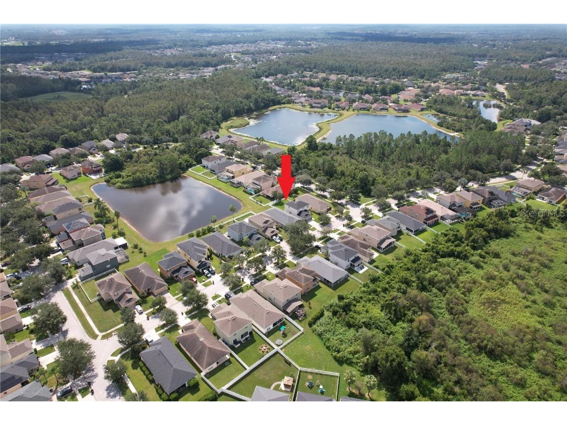 20721 Whitewood Way Tampa FL 33647 TB8423085 image52