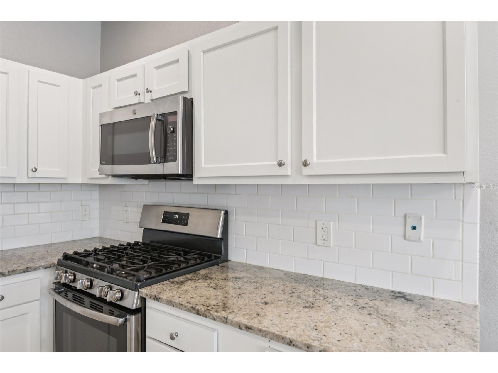 20721 Whitewood Way Tampa FL 33647 TB8515507 image25