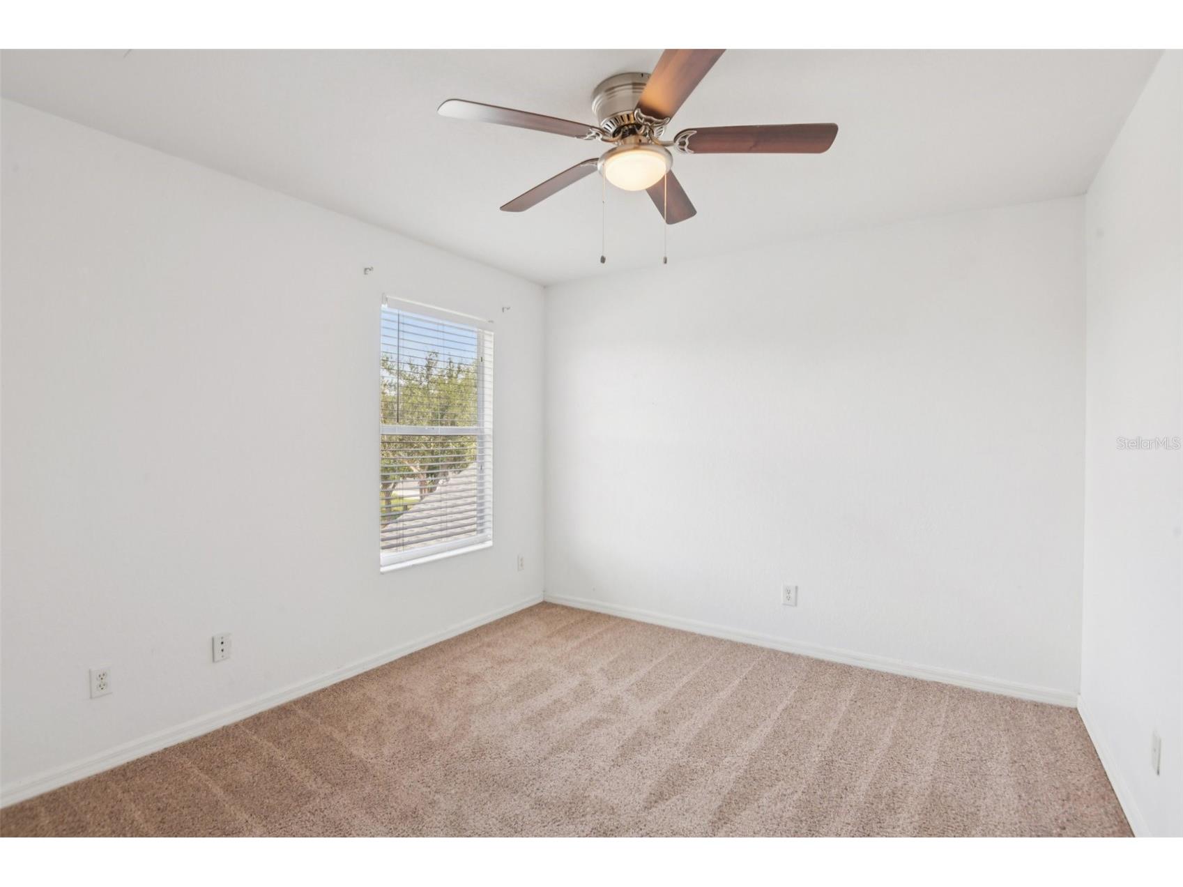20721 Whitewood Way Tampa FL 33647 TB8515507 image41