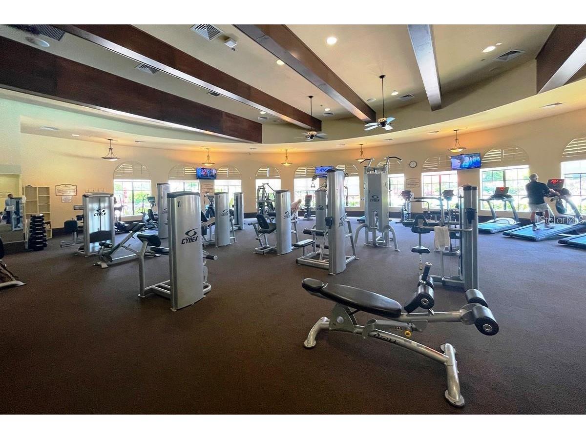 20722 Romagna Place Venice FL 34293 A4695090 image57