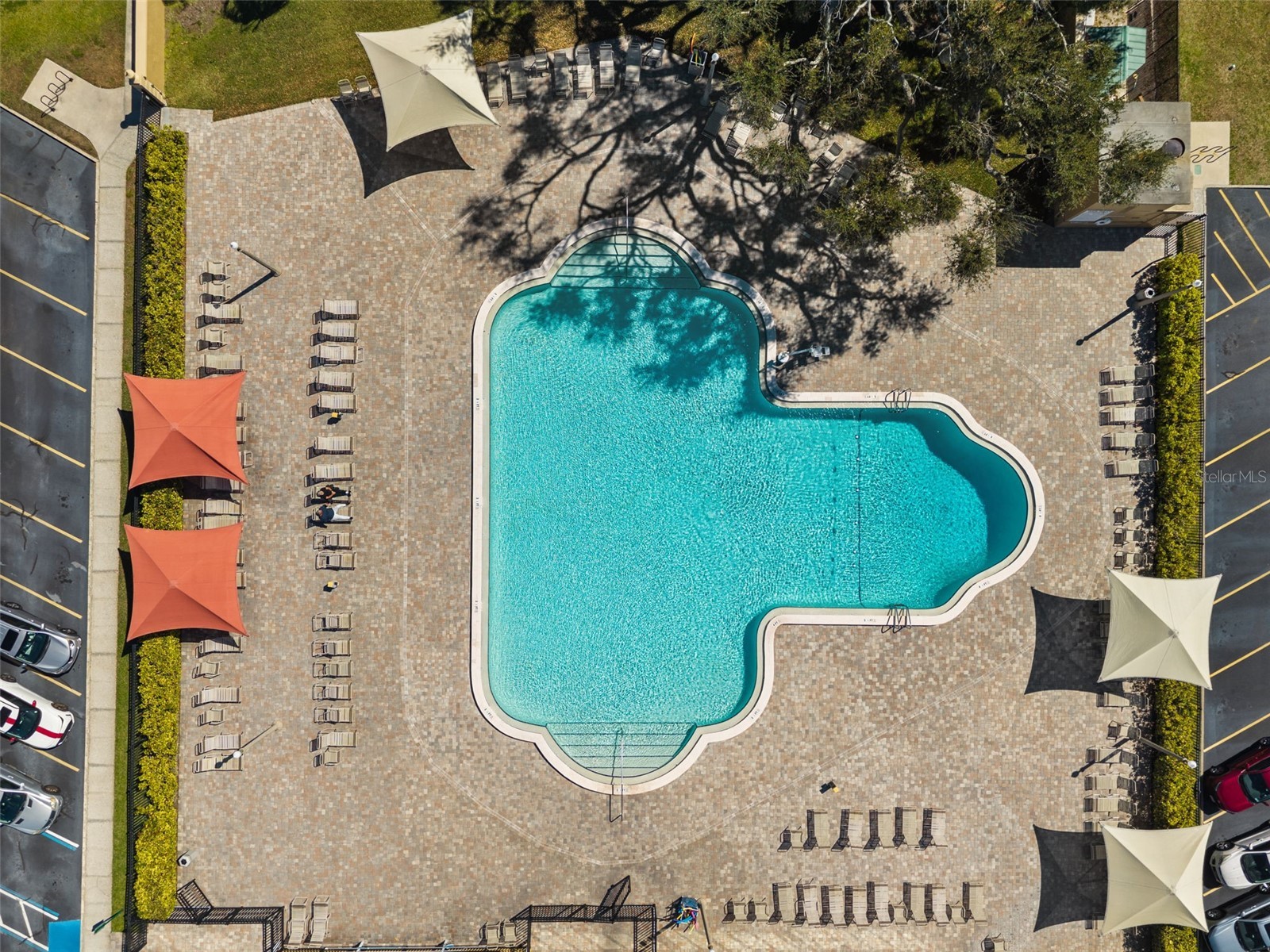 2073 Denmark Street #37 Clearwater FL 33763 TB8482670 image42
