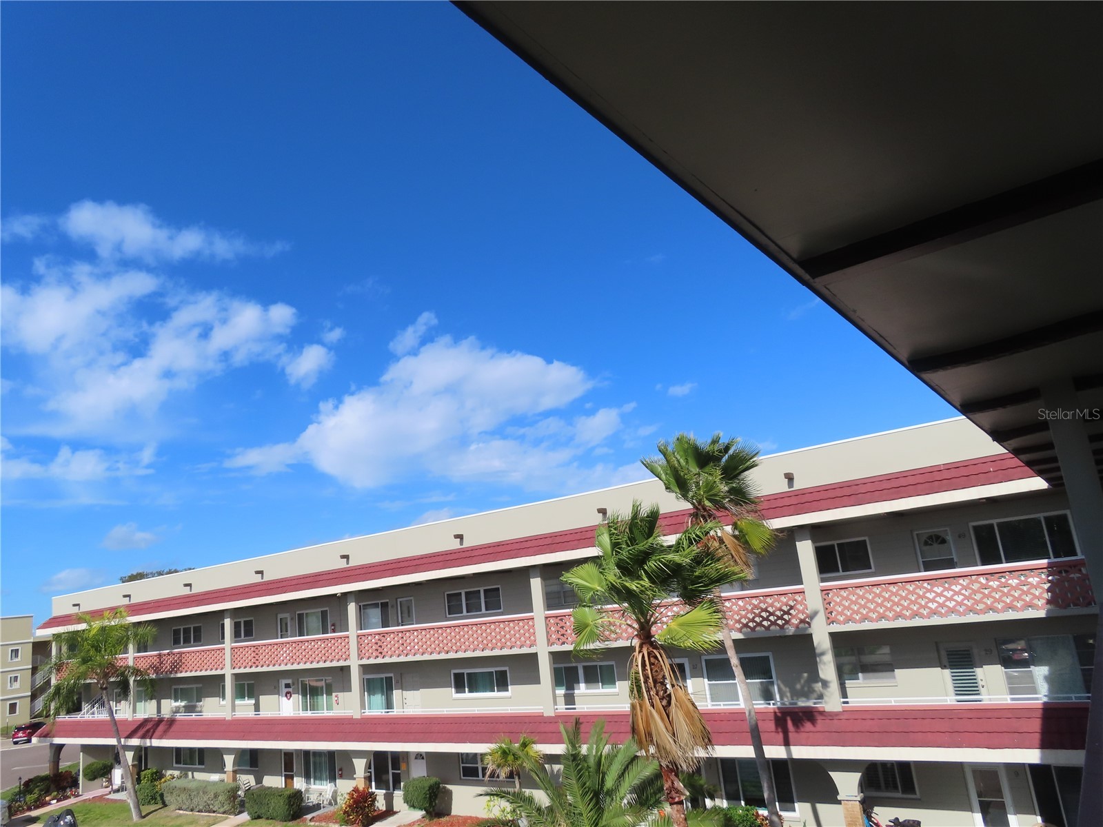 2073 Denmark Street #43 Clearwater FL 33763 TB8463258 image1
