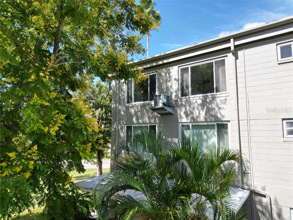 2073 Denmark Street #APT 59 Clearwater FL 33763 TB8436909 image13