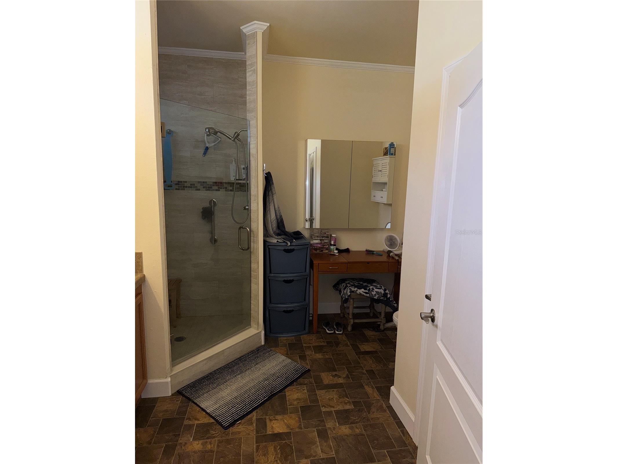 20732 S Grove Loop #630 Lutz FL 33558 TB8494120 image17