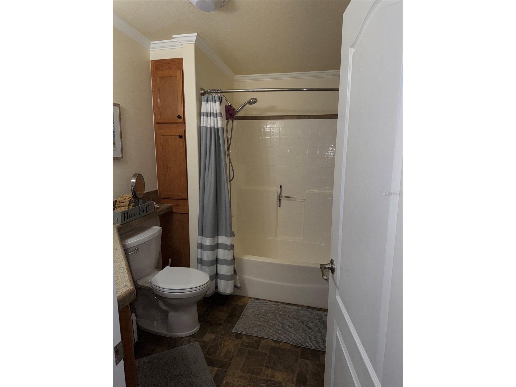 20732 S Grove Loop #630 Lutz FL 33558 TB8494120 image19