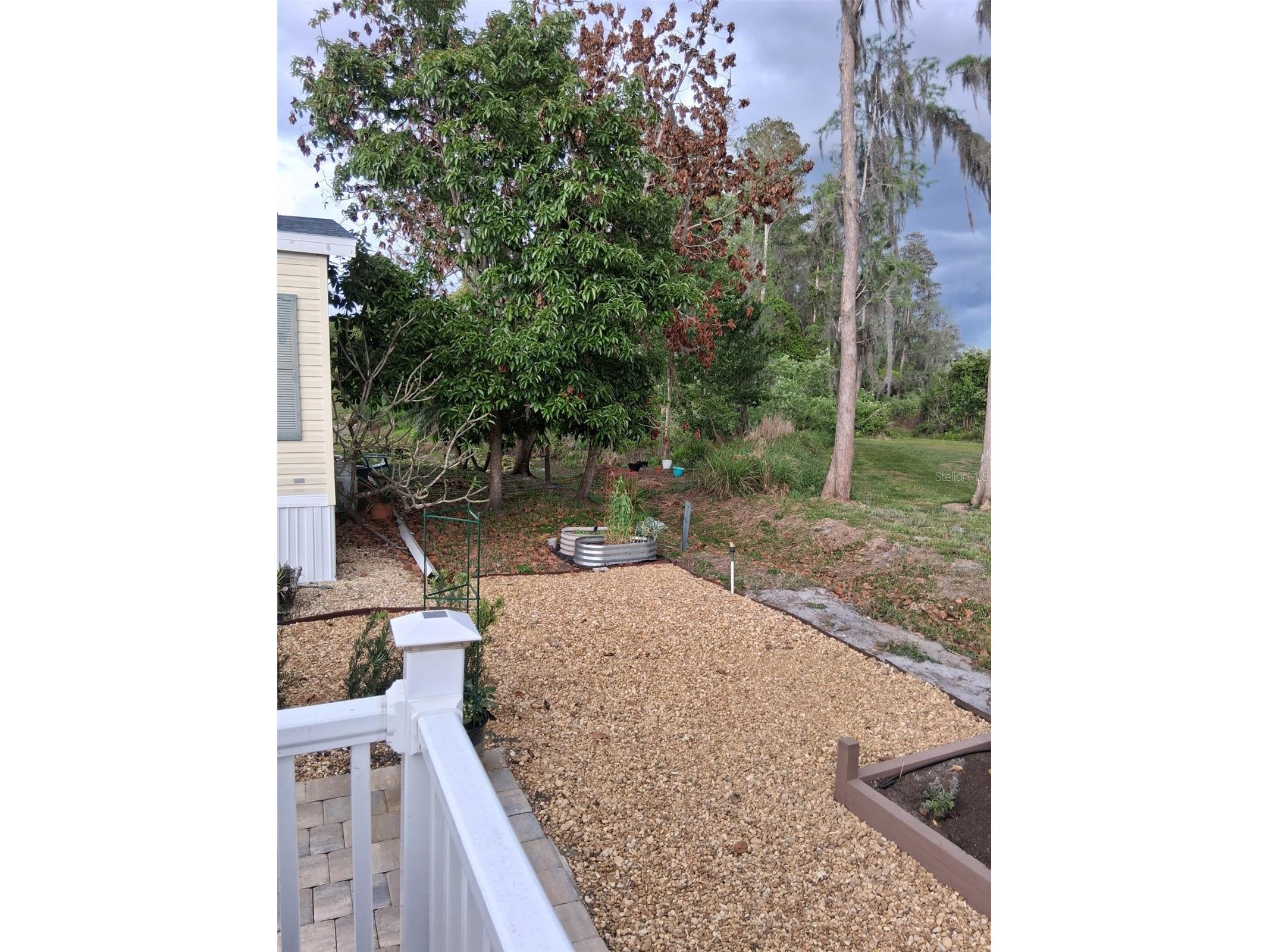 20732 S Grove Loop #630 Lutz FL 33558 TB8494120 image25
