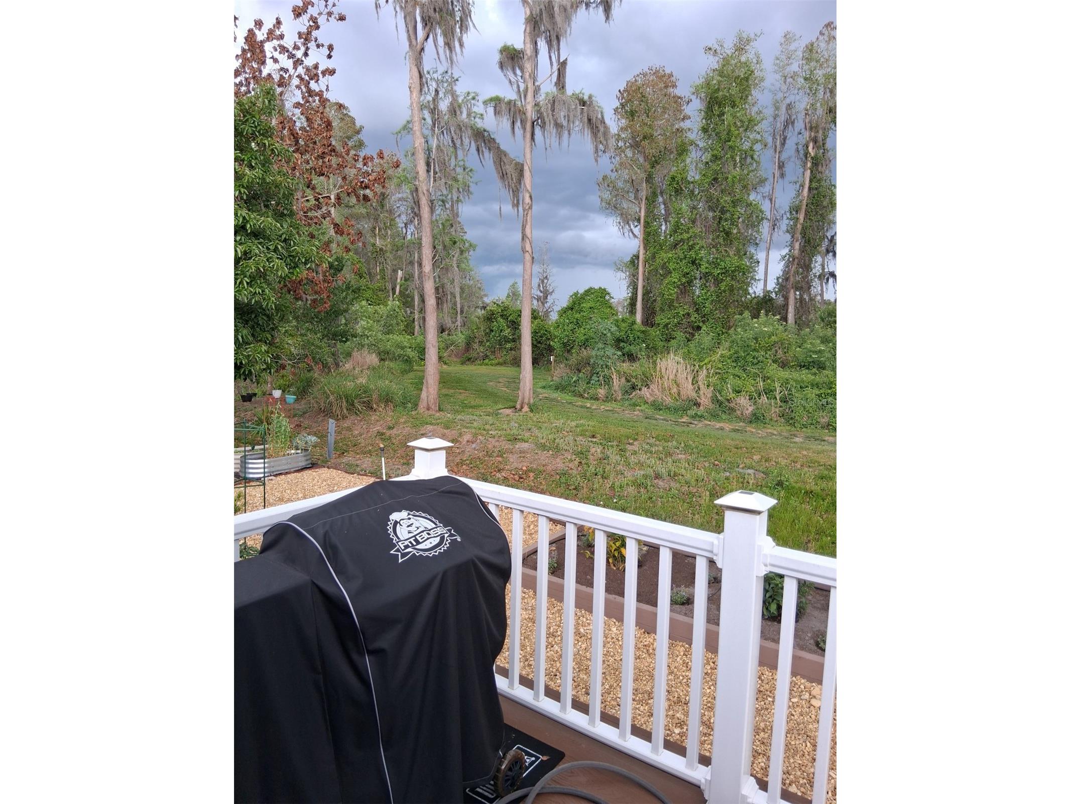 20732 S Grove Loop #630 Lutz FL 33558 TB8494120 image28