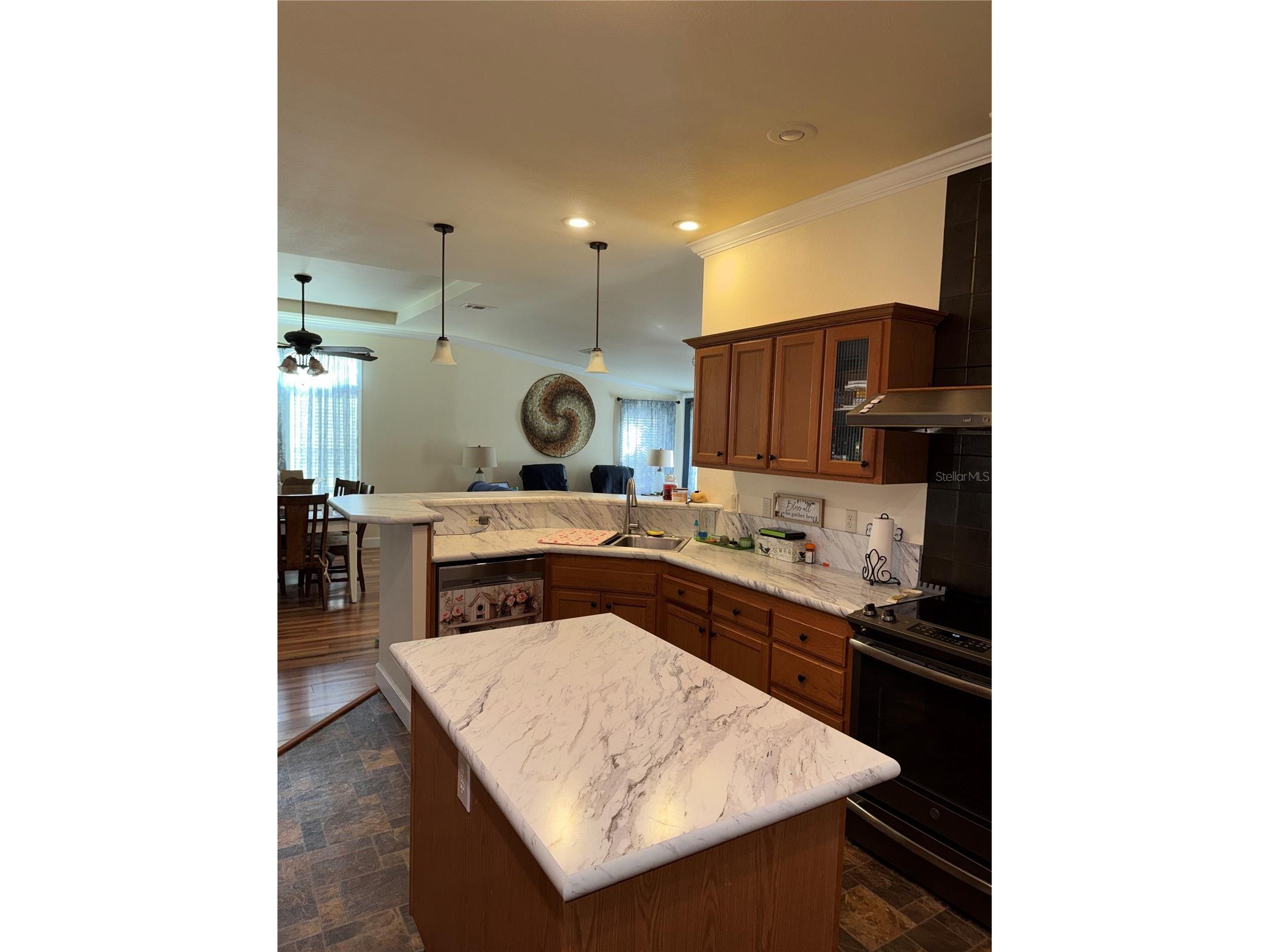 20732 S Grove Loop #630 Lutz FL 33558 TB8494120 image8