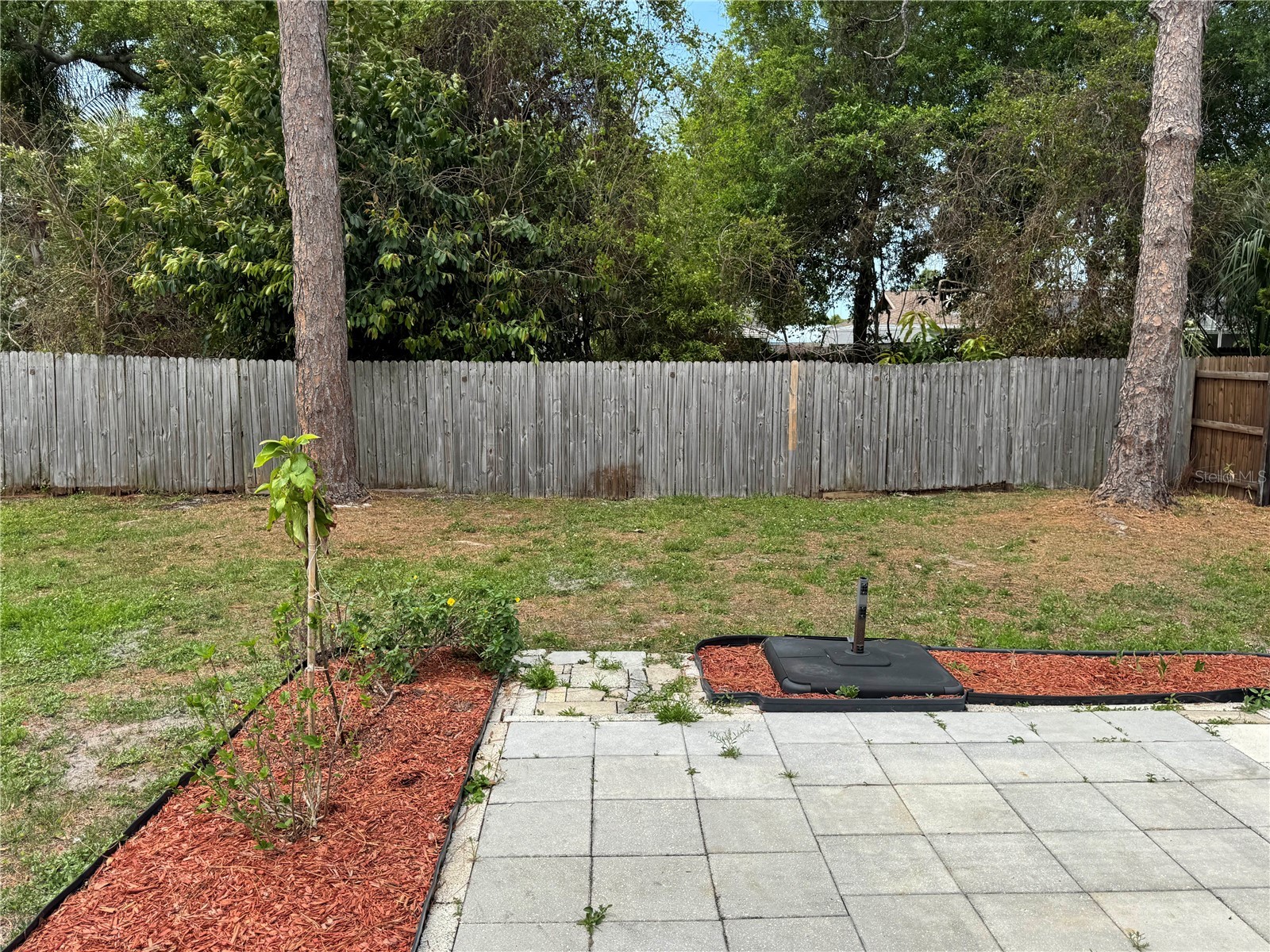 2074 Dodge Street Clearwater FL 33760 TB8491752 image25