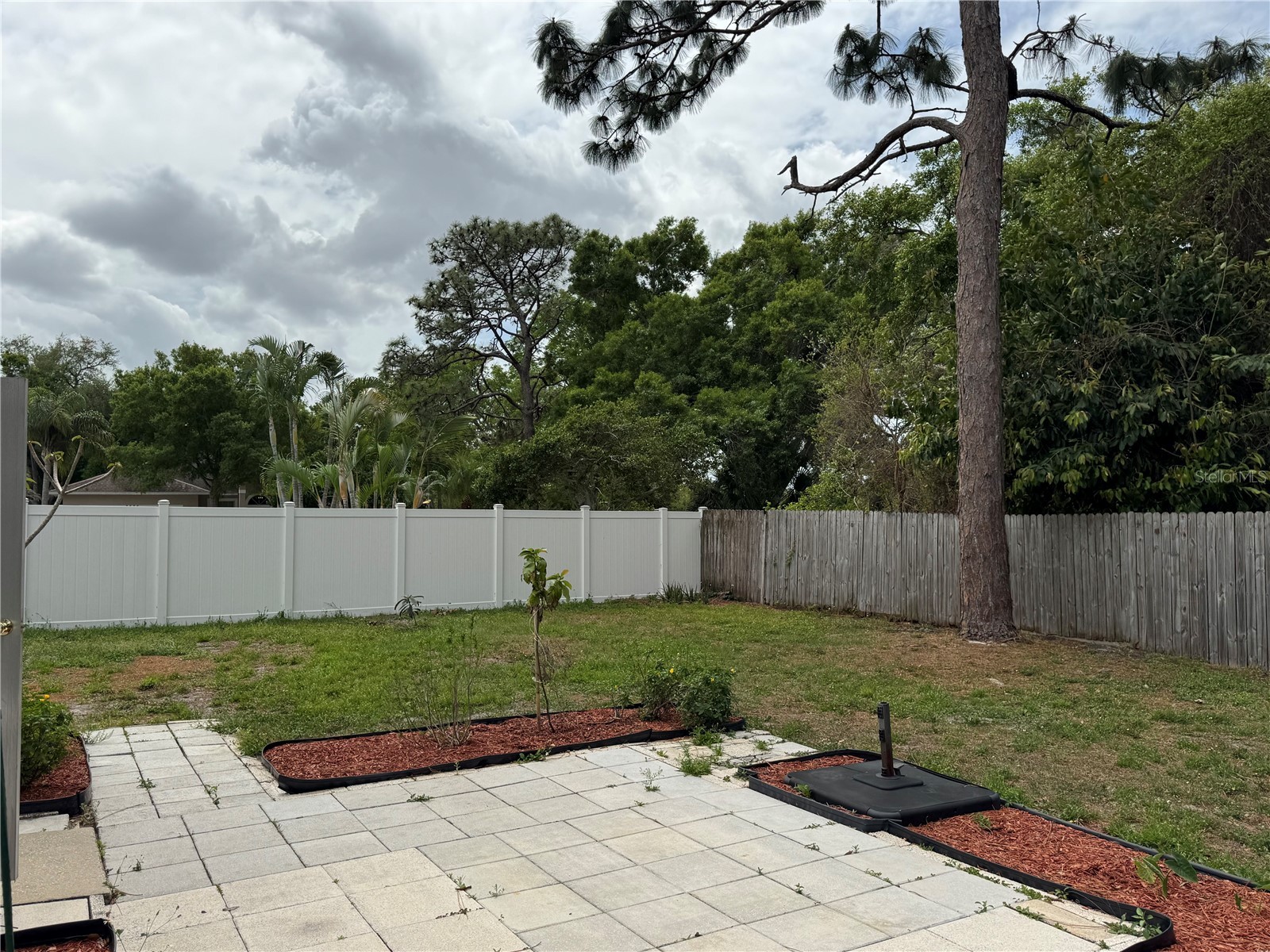 2074 Dodge Street Clearwater FL 33760 TB8491752 image26
