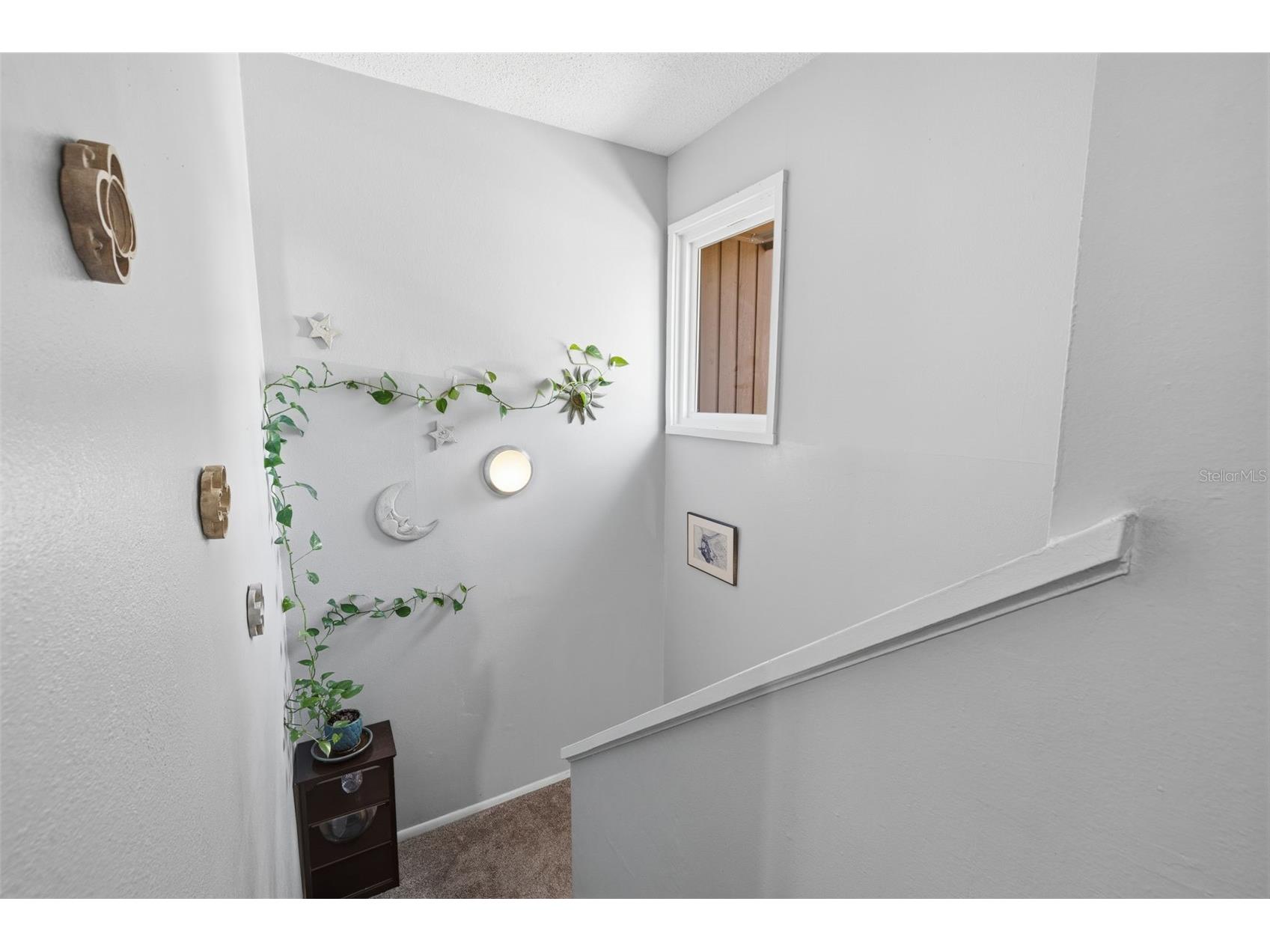 2074 Sunset Point Road #136 Clearwater FL 33765 TB8513566 image18