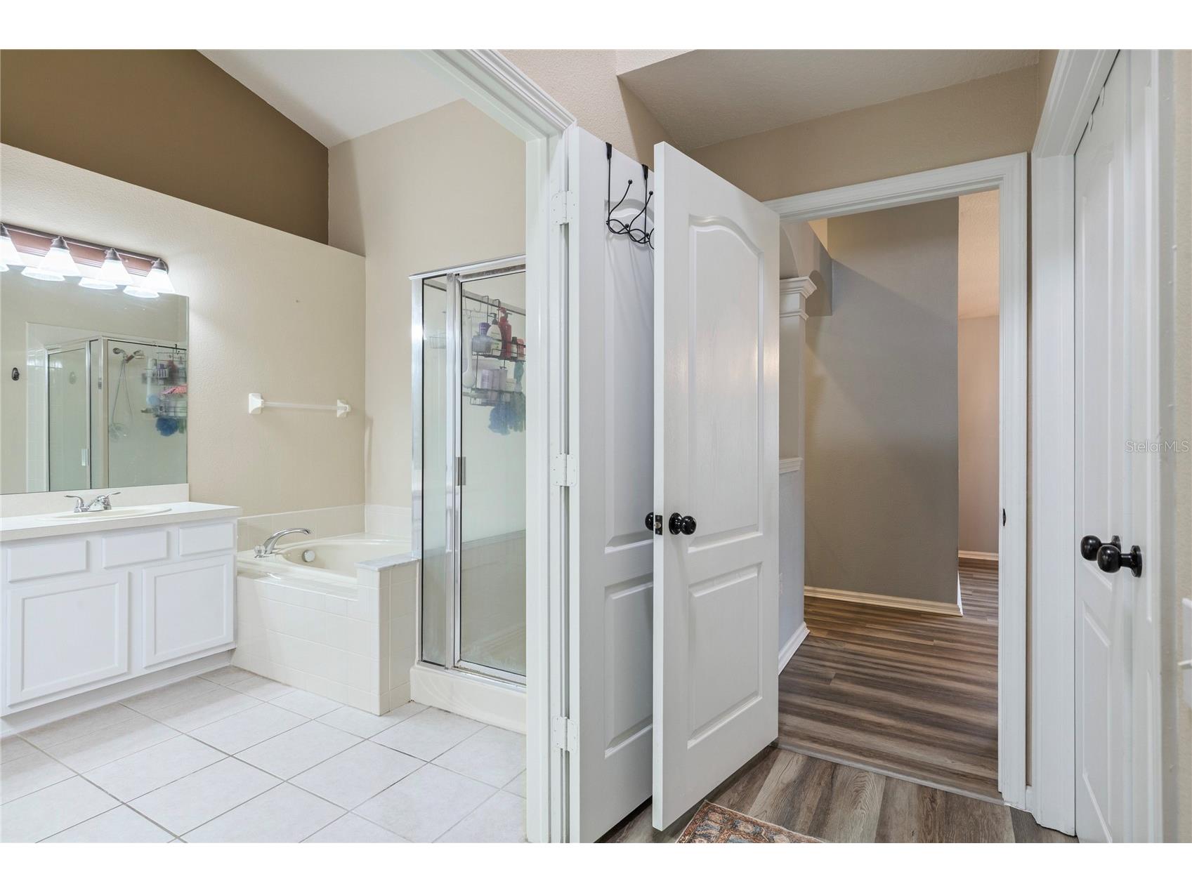 20744 Orchardtown Drive Land O Lakes FL 34638 TB8520727 image18