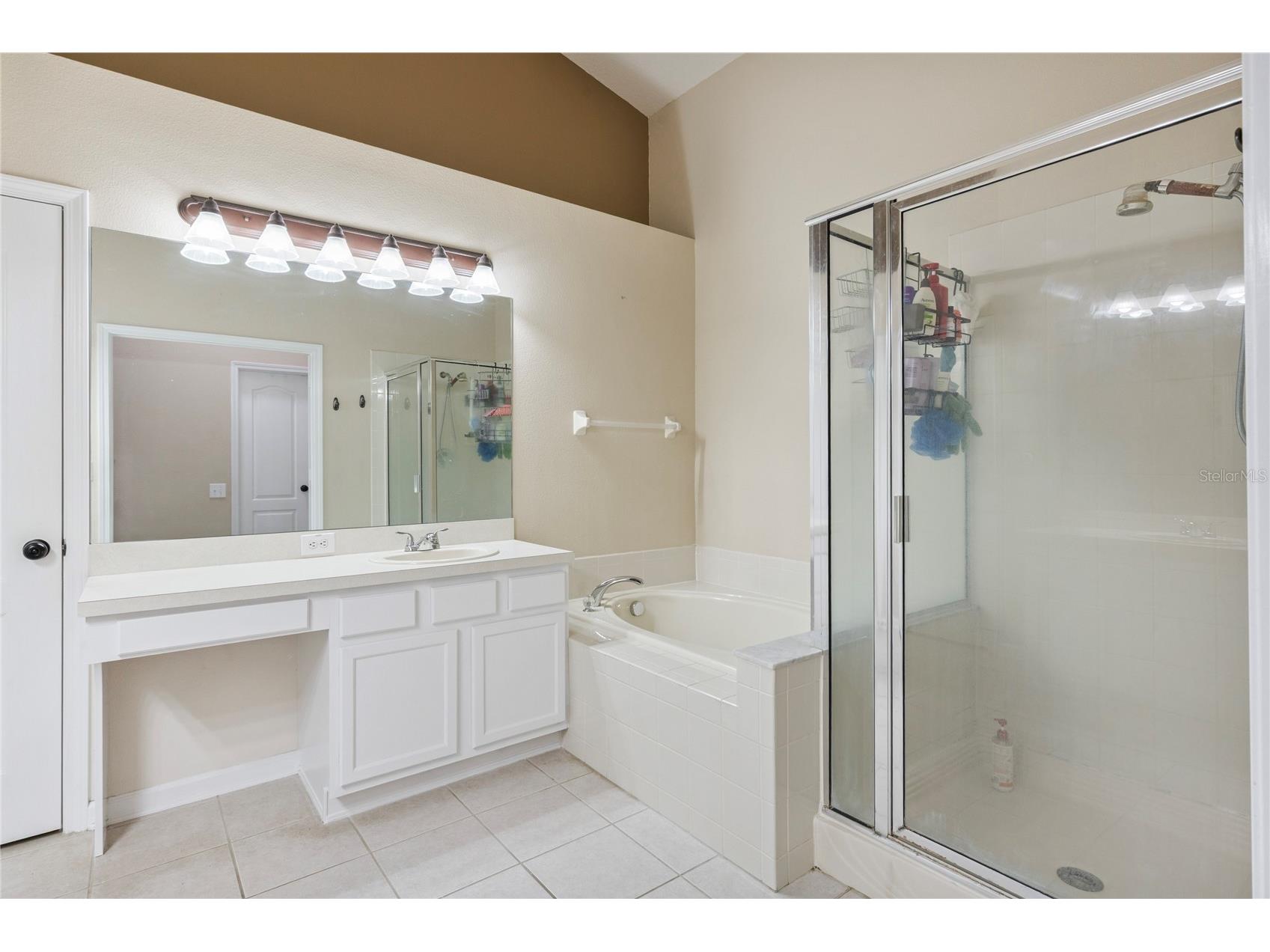 20744 Orchardtown Drive Land O Lakes FL 34638 TB8520727 image20