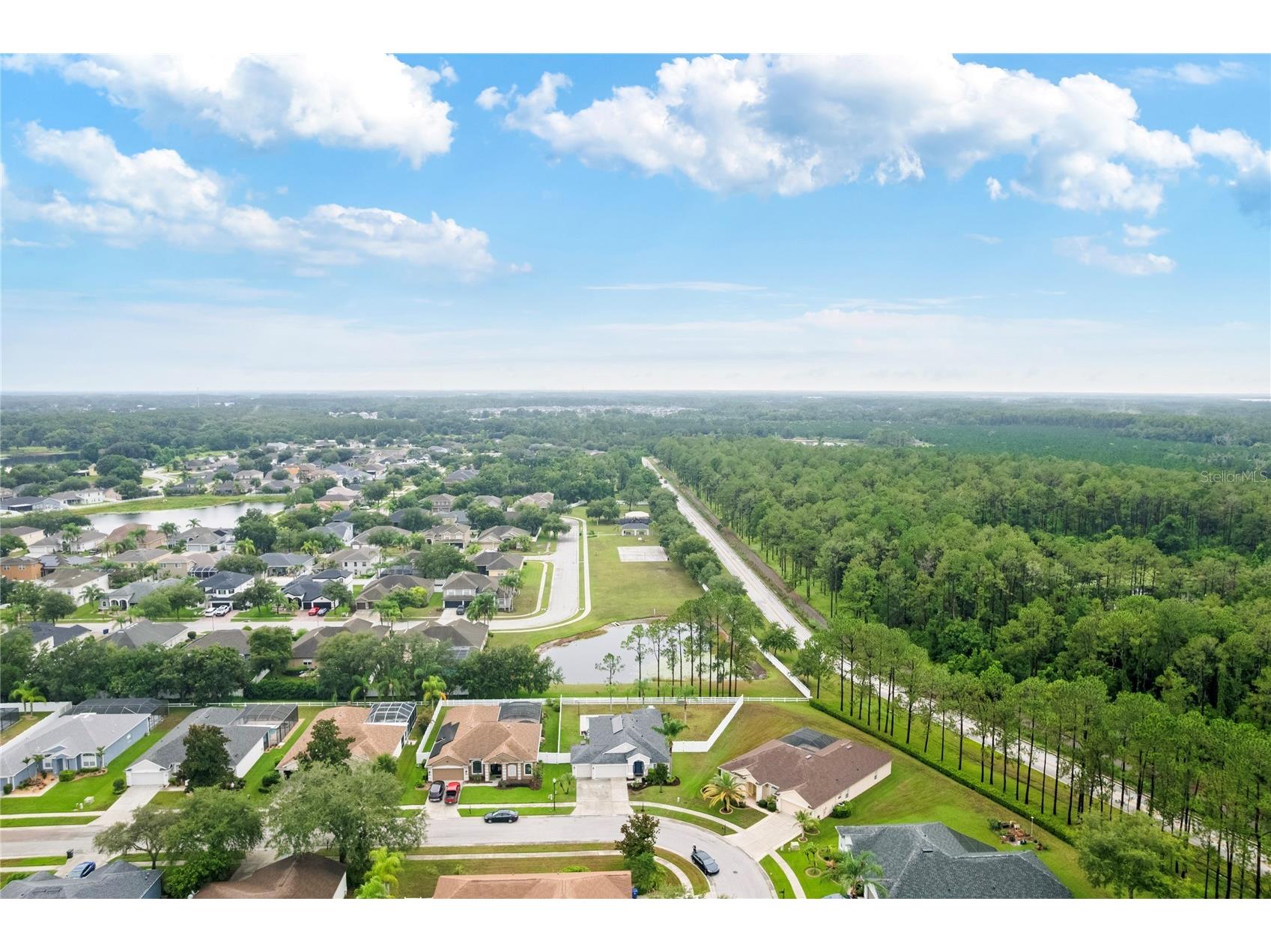 20744 Orchardtown Drive Land O Lakes FL 34638 TB8520727 image44