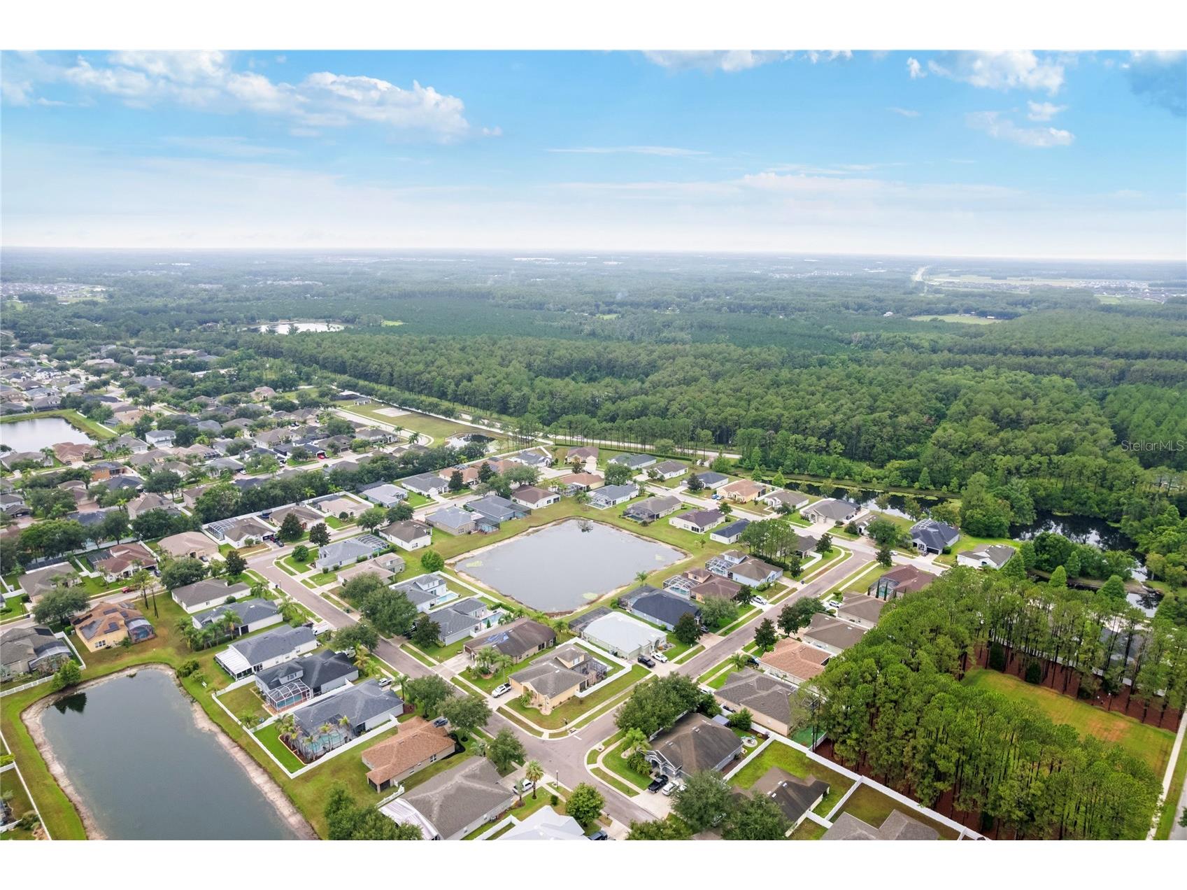 20744 Orchardtown Drive Land O Lakes FL 34638 TB8520727 image45