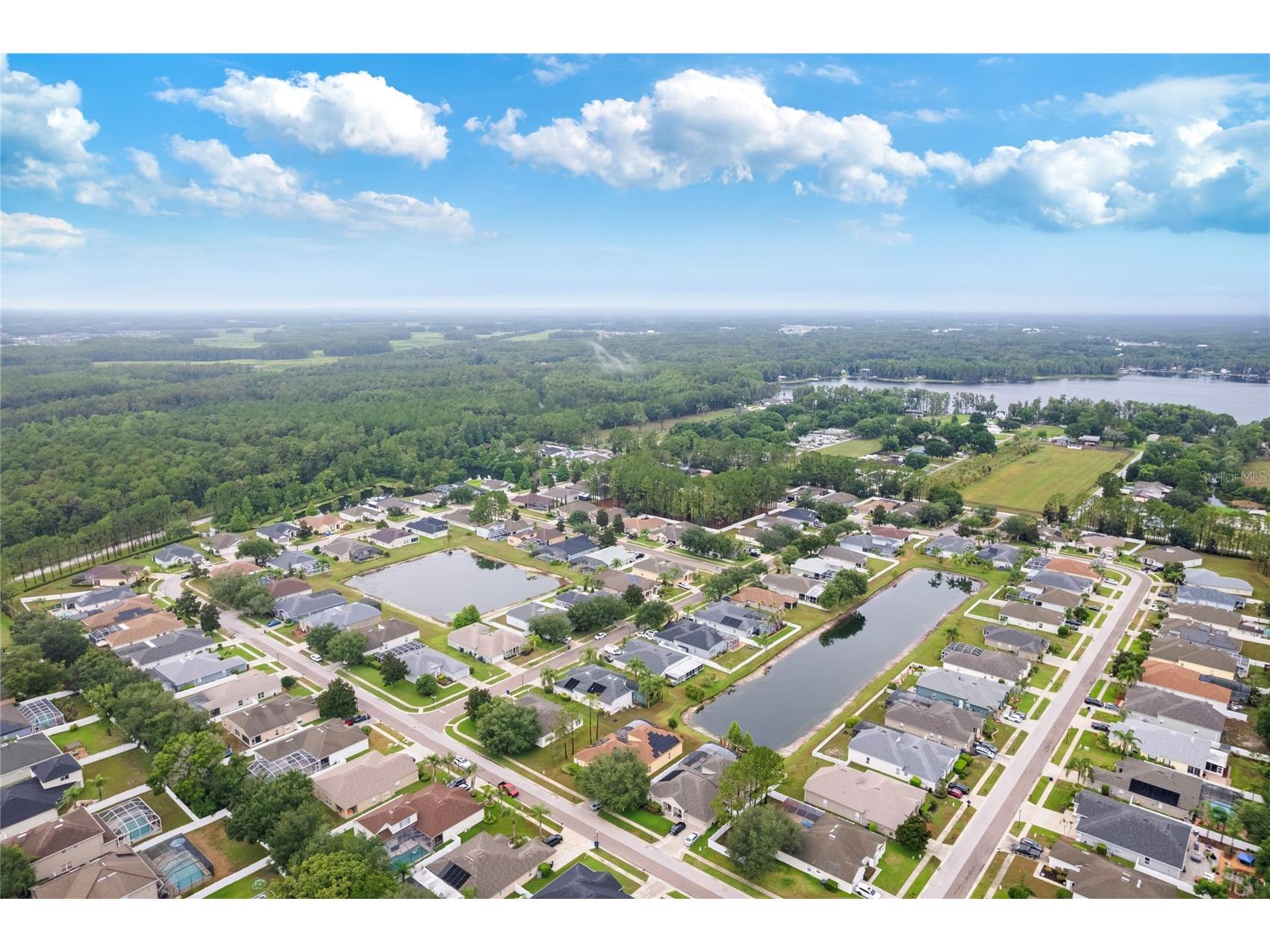 20744 Orchardtown Drive Land O Lakes FL 34638 TB8520727 image47