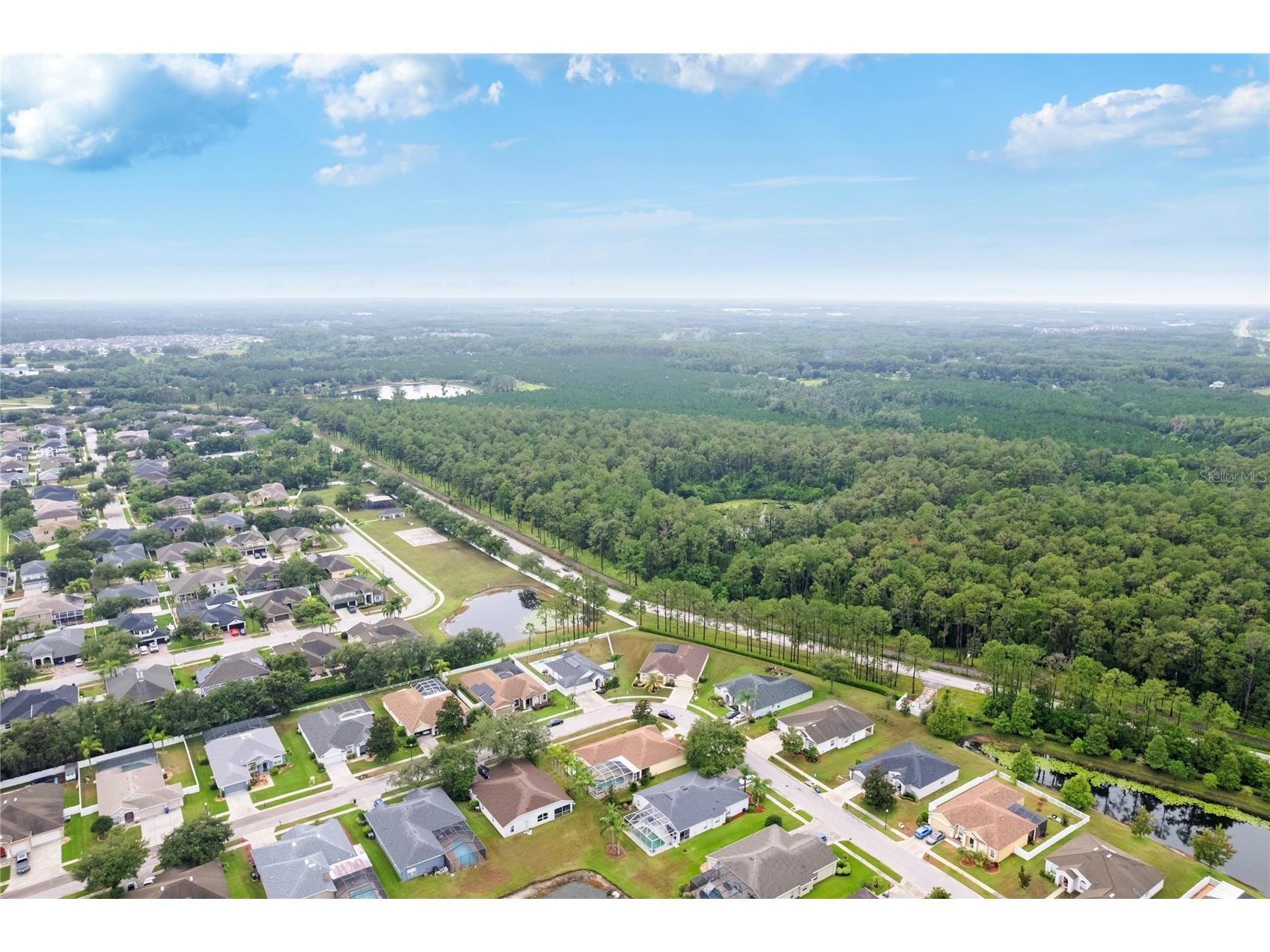 20744 Orchardtown Drive Land O Lakes FL 34638 TB8520727 image49