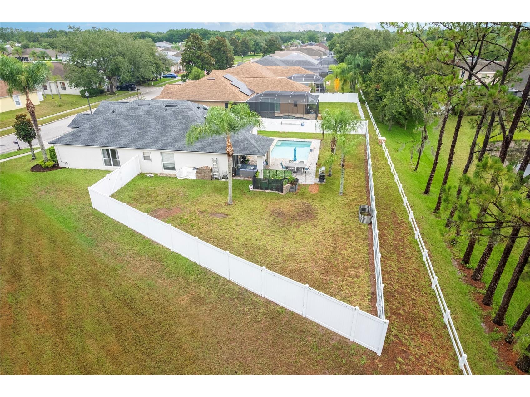 20744 Orchardtown Drive Land O Lakes FL 34638 TB8520727 image5