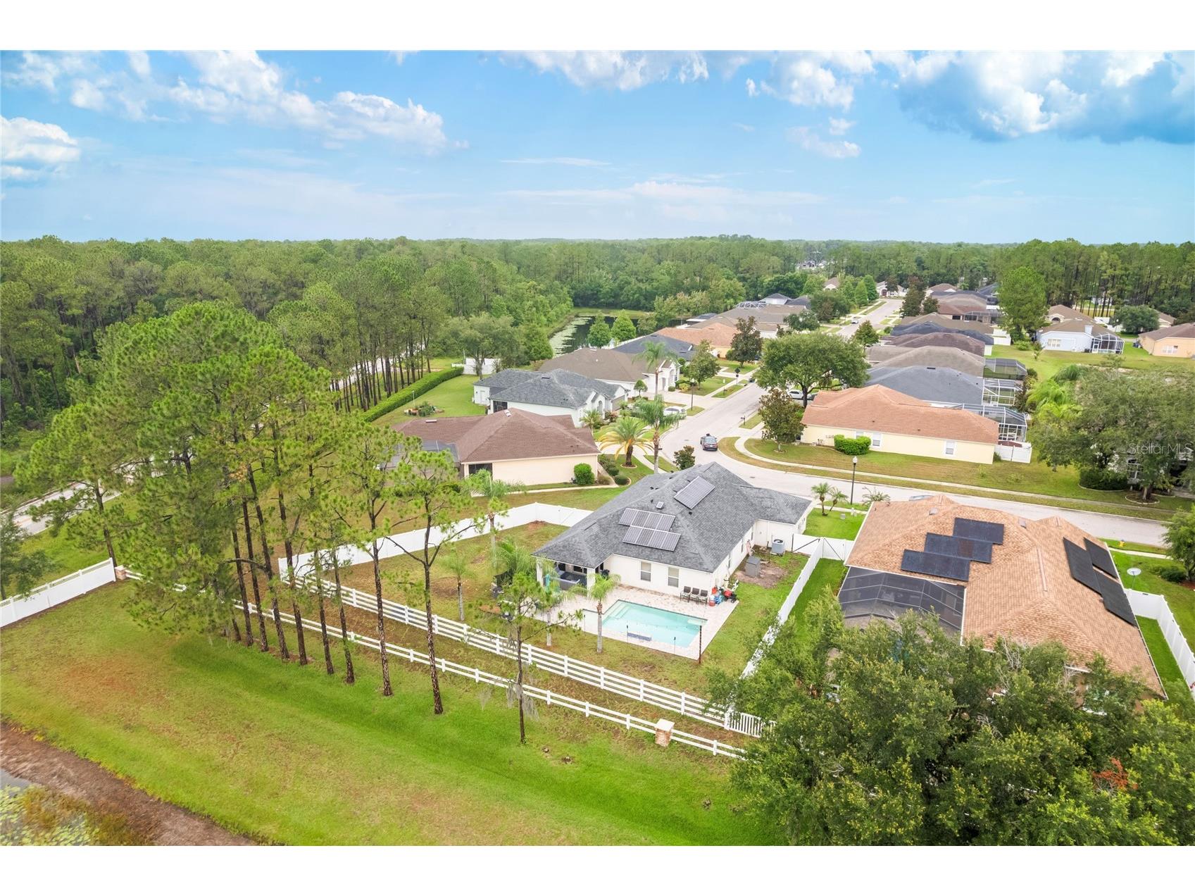 20744 Orchardtown Drive Land O Lakes FL 34638 TB8520727 image7