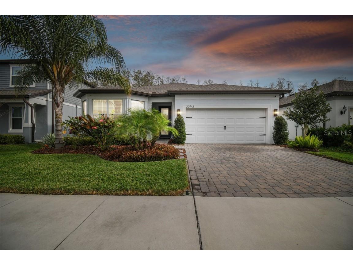 20748 Monza Loop Land O Lakes FL 34638 T3501017 image1