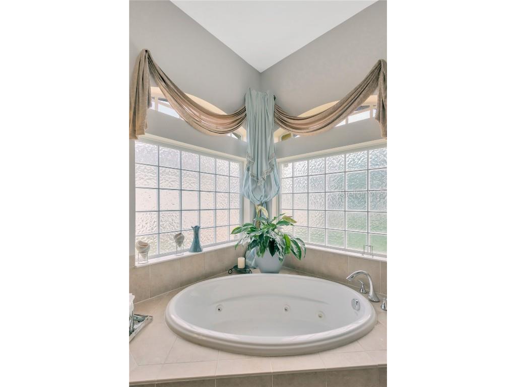 20749 Auburn Leaf Trail Land O Lakes FL 34638 TB8372702 image22