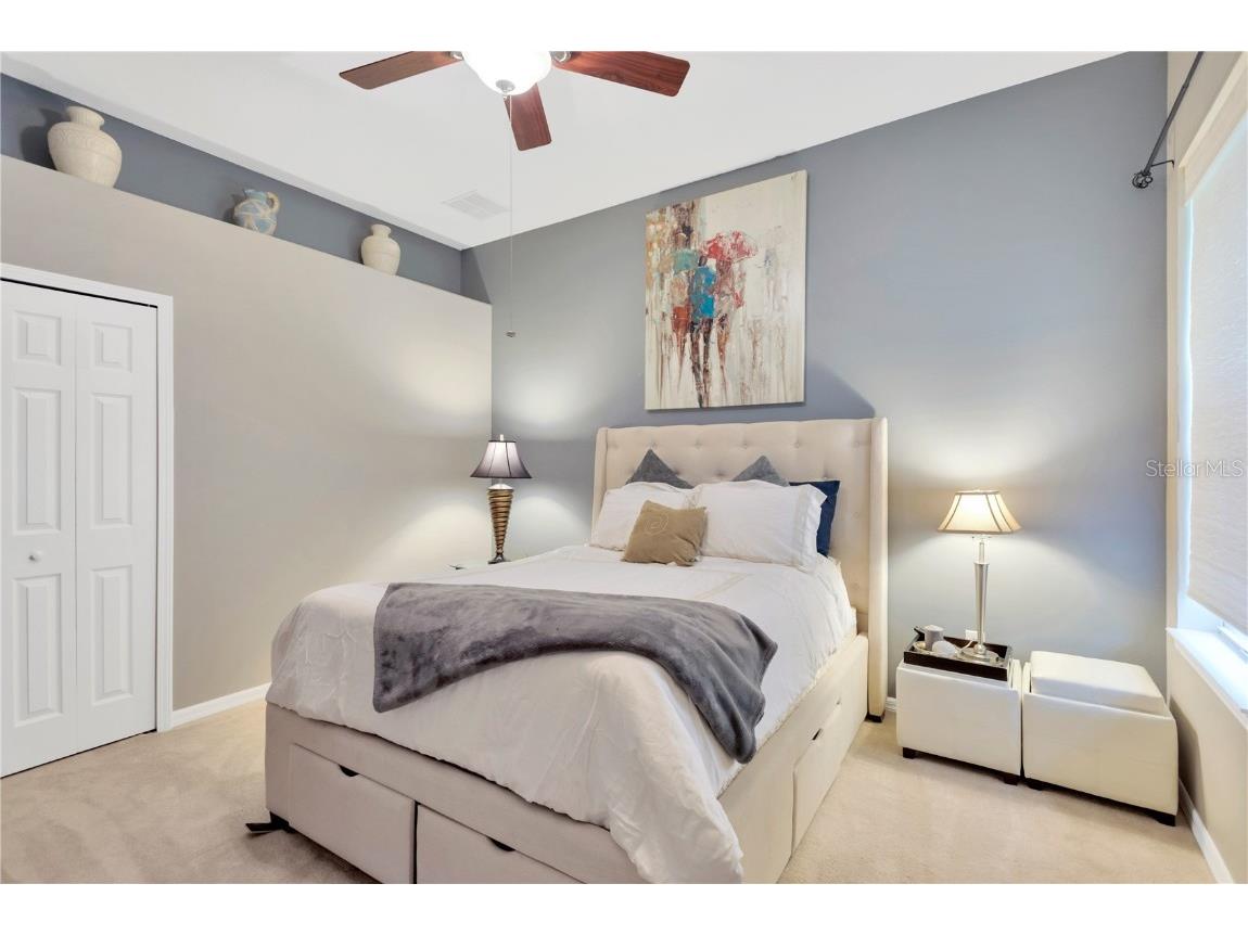 20749 Auburn Leaf Trail Land O Lakes FL 34638 TB8372702 image24