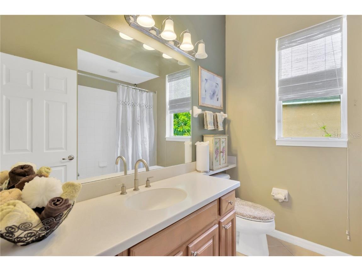 20749 Auburn Leaf Trail Land O Lakes FL 34638 TB8372702 image29