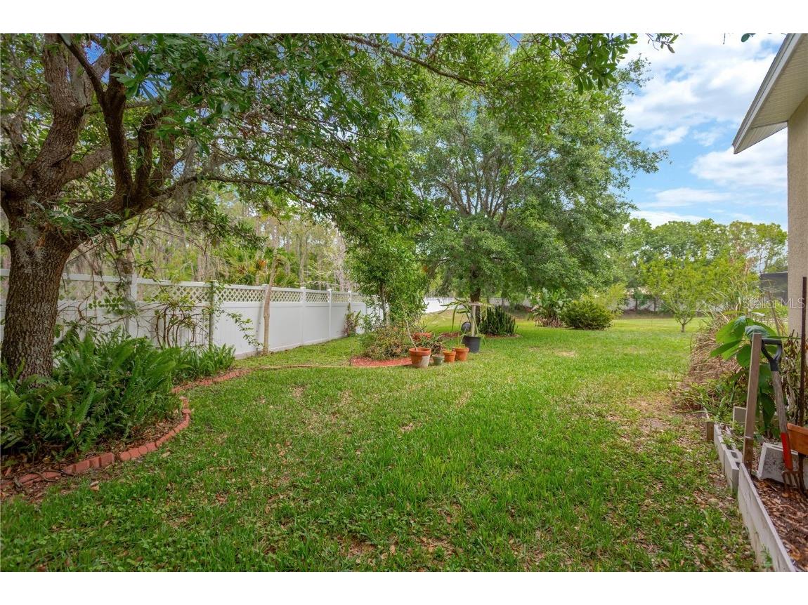 20749 Auburn Leaf Trail Land O Lakes FL 34638 TB8372702 image40
