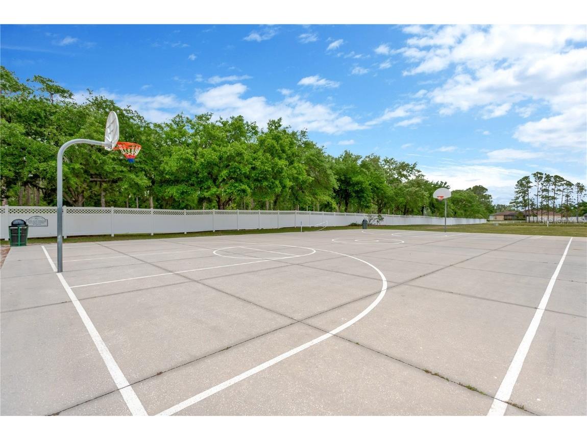 20749 Auburn Leaf Trail Land O Lakes FL 34638 TB8372702 image42