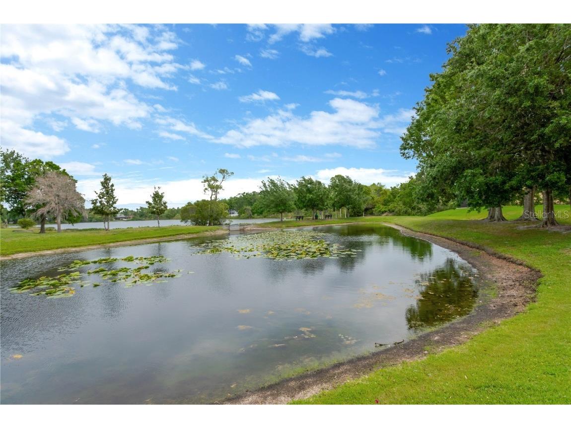 20749 Auburn Leaf Trail Land O Lakes FL 34638 TB8372702 image44