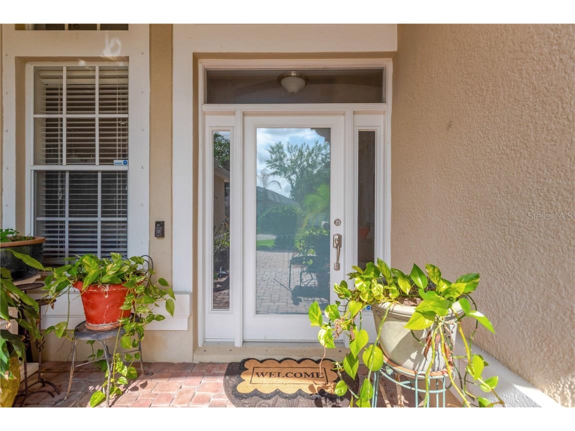 20749 Auburn Leaf Trail Land O Lakes FL 34638 TB8372702 image5