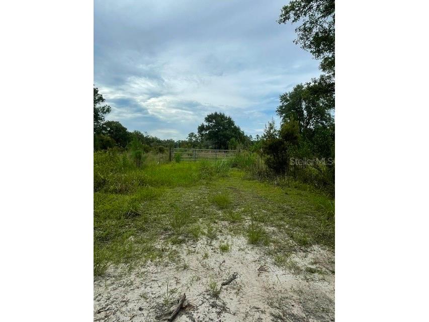 2075 Country Road 75 Bunnell FL 32110 FC319391 image2