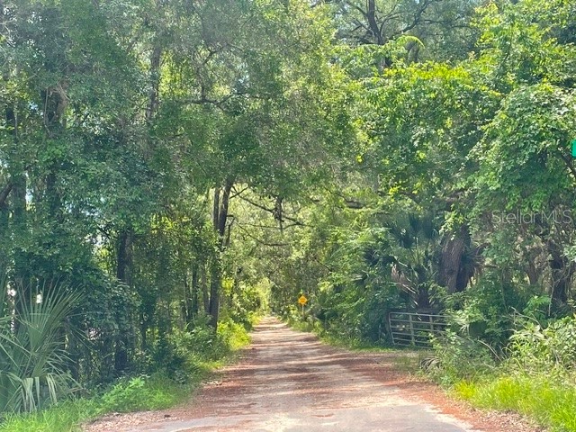 2075 Country Road 75 Bunnell FL 32110 FC319391 image5