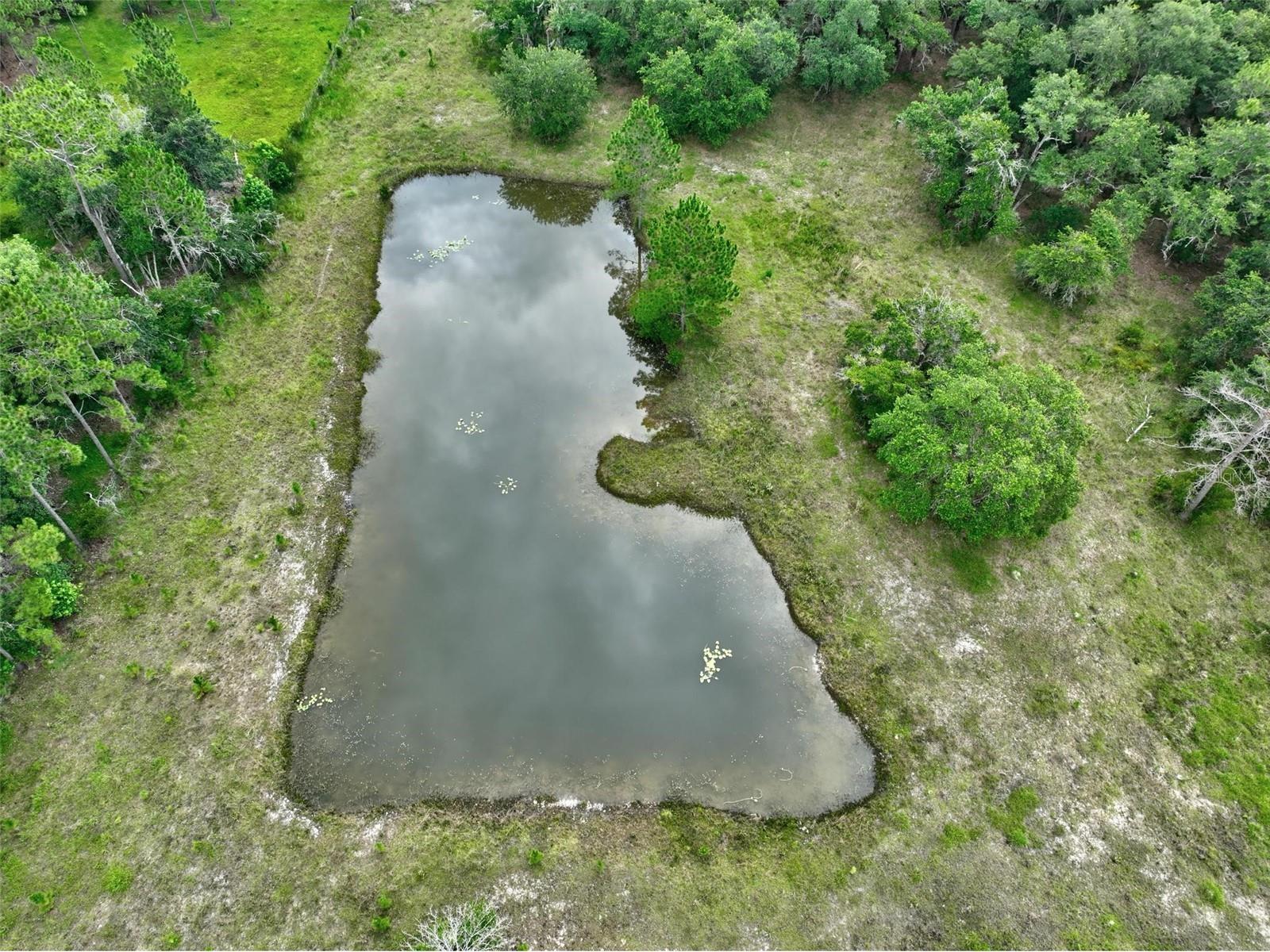 2075 Country Road 75 Bunnell FL 32110 FC319391 image9